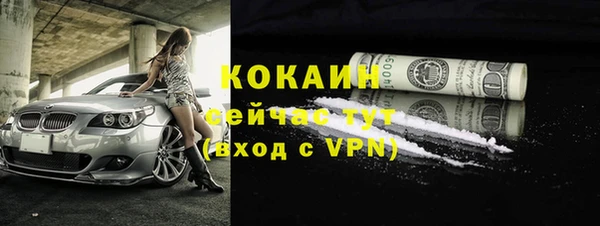 твердый Богданович