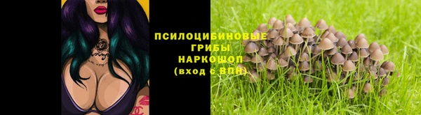 дживик Бородино