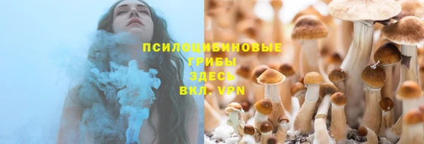 дживик Бородино