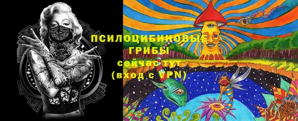 твердый Богданович
