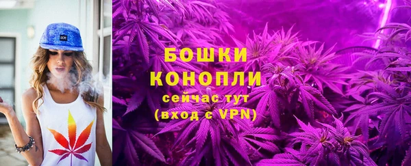 дживик Бородино